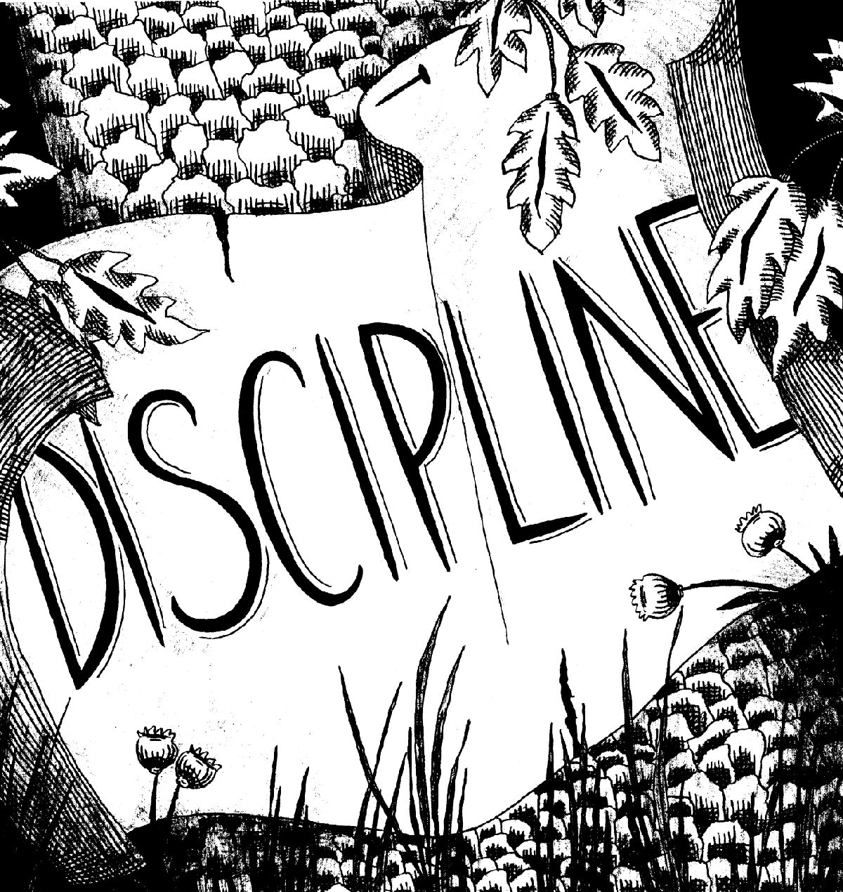 Essay on discipline in my life